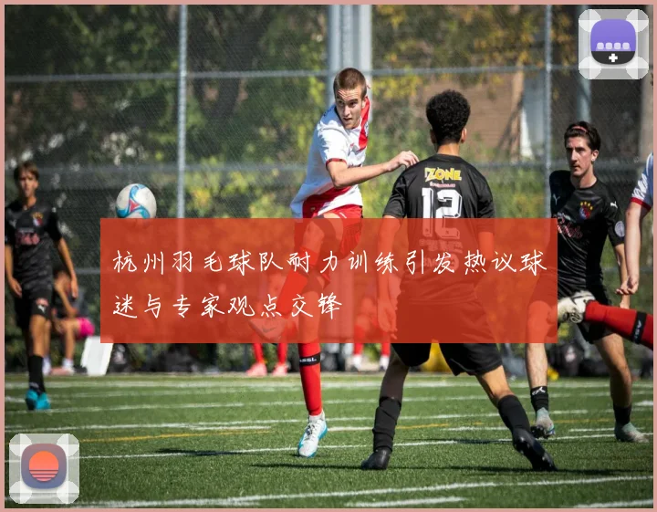 杭州羽毛球队耐力训练引发热议球迷与专家观点交锋